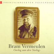 Verschrikkelijk Inzicht by Bram Vermeulen