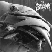 permanent death / pissdeads