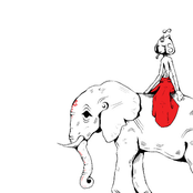 o mesmo peso de um elefante