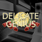 Delicate Genius