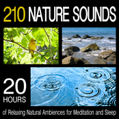 210 Nature Sounds - 20 Hours Of Relaxing Natural Ambiences for Meditation And Sleep