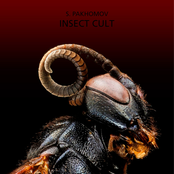Insect Cult