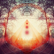 MONOMETRIC