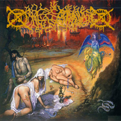 Preaching the Gospel of Gorenoise