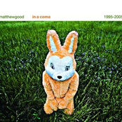 Matthew Good: In A Coma - The Best of Matthew Good 1995 - 2005