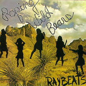 Rise And Fall Of Flingel Blunt by The Raybeats