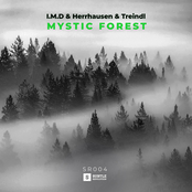 Mystic Forest
