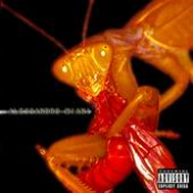 Alessandro Miani (self titled)