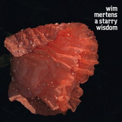 More Than A Genre by Wim Mertens