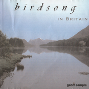 Birdsong In Britain