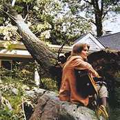 Terre Roche: The Sound of A Tree Falling