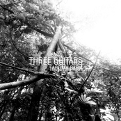 Three Guitars