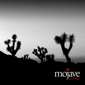 Faultline by Mojave