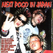 Next Pogo In Japan