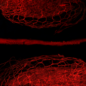 Inner Subspace