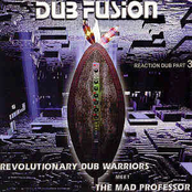 Revolutionary Dub Warriors Meet The Mad Professor