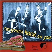 I'm Gonna Rock On You