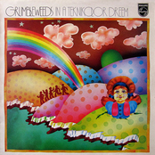 In A Teknikolor Dreem