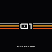 Chip Stress 01