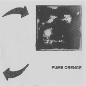 Pume Orenge