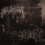 Nebelschwaden / Wolfskult (Split)