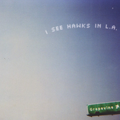 Texarkanada by I See Hawks In L.a.