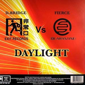 fierce & d-bridge