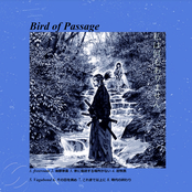 Bird of Passage