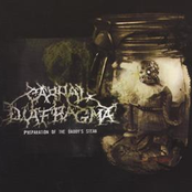 Carnal Diafragma - Bloody Issue Of Sperm