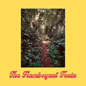 The Flamboyant Train