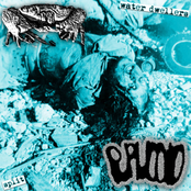 Water Dwellers Split