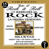 Un Tonto Como Yo by Los Rebeldes Del Rock