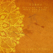 528 Hz Frequencies for Mind and Body Vol 1