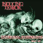Internal Suffering / Inducing Terror [split]