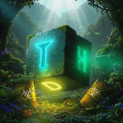 Toxic House Definition