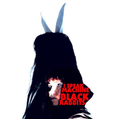 BLACK RABBITS