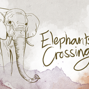 Elephants Crossing