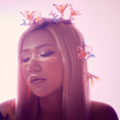 Like a Flower