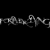 Fallen Dreams From Bitter Silence