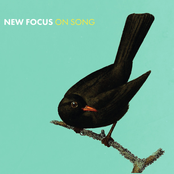 New Focus On Song