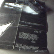 Halte Funèbre Et Mélancholique Au Sommet De Rochers Surplombant L'Océan