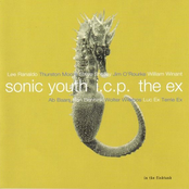 sonic youth, icp, ex