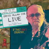 The Ghost Of Hank Williams by David Allan Coe