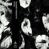 Split W/ Thisismenotthinkingofyou