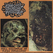 Foul Discharge Of Flesh Coagulose / Caustic Stench Of Carcinogenic Halitosis