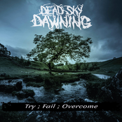 Try ; Fail ; Overcome