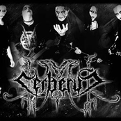 Cerberus photo provided by Last.fm