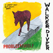 Probleemwolf