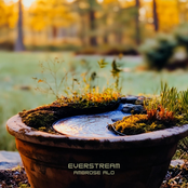 Everstream
