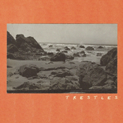 Trestles: The Beach Betrayed Me